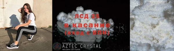 прущие грибы Баксан