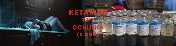 прущие грибы Баксан
