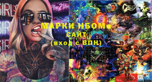 прущие грибы Баксан